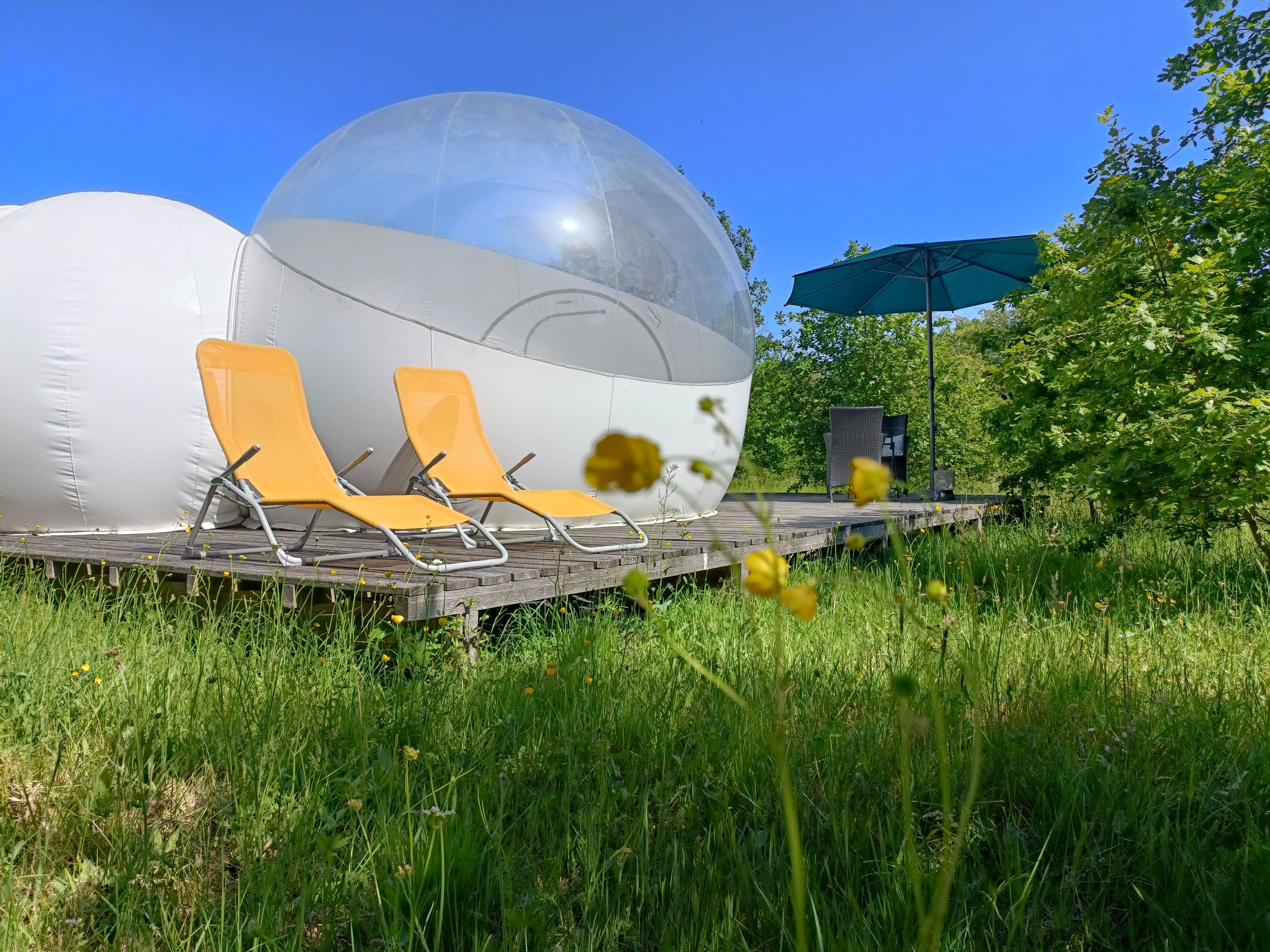 Reine des Prés - Pré en Bulles – bulle à Le Vigeant, Vienne